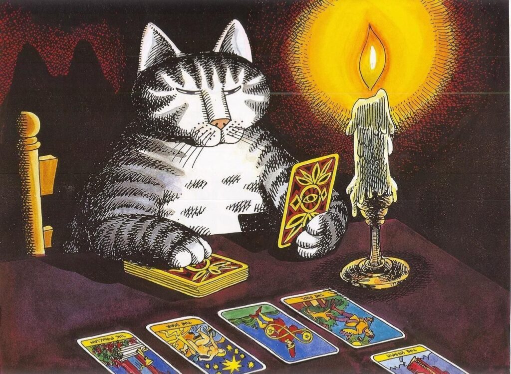 КУДА ЗАВЕДЕТ ЭТА КАРТА?